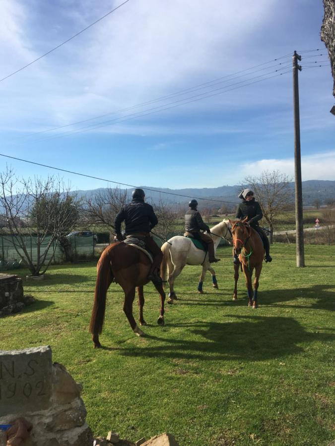 La Villa Romantica Ciggiano Bagian luar foto