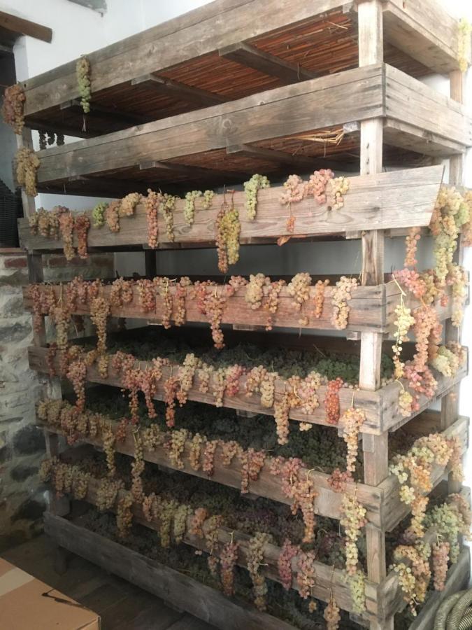 La Villa Romantica Ciggiano Bagian luar foto